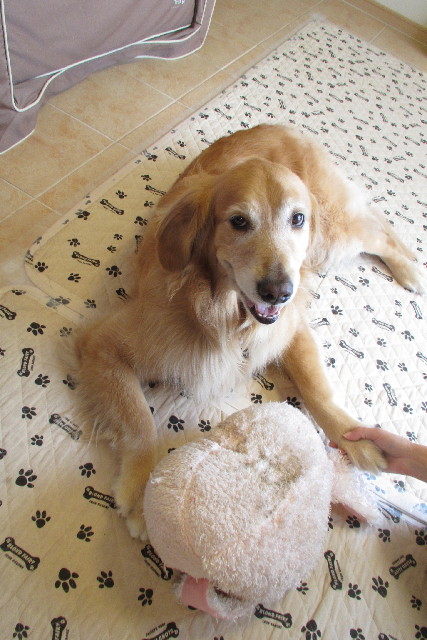 ファイル 3061-3.jpg