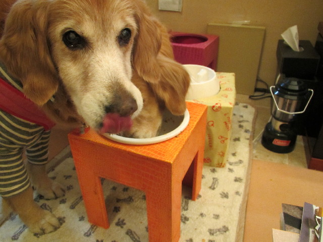 ファイル 3061-4.jpg