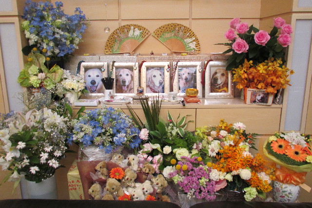 ファイル 3061-5.jpg