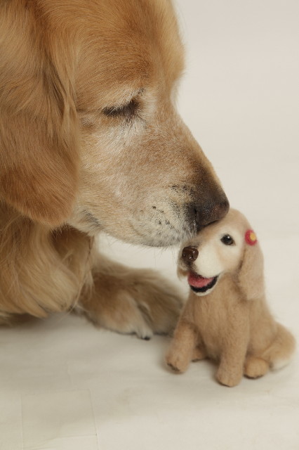 ファイル 3065-2.jpg