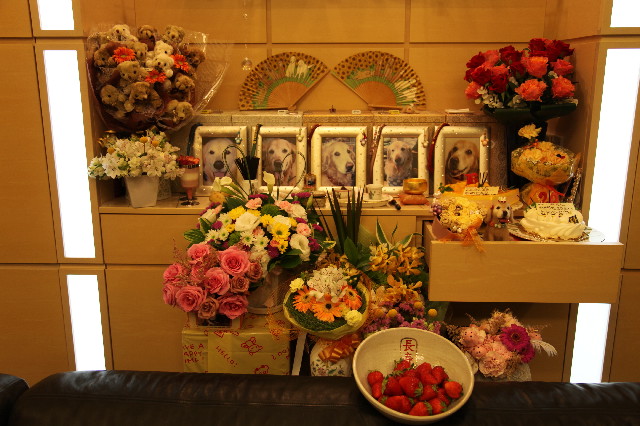 ファイル 3068-1.jpg