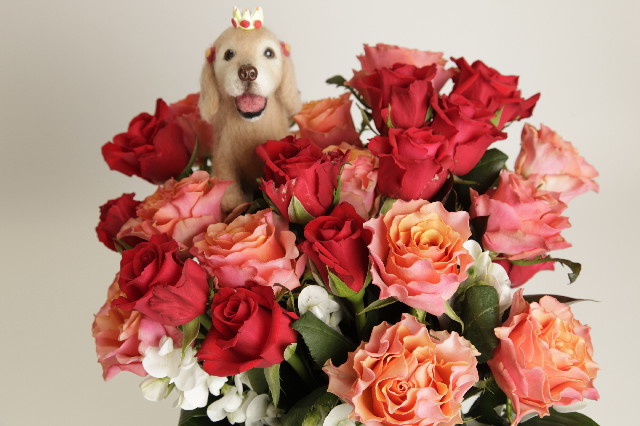 ファイル 3068-2.jpg