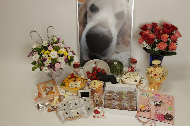 ファイル 3068-3.jpg