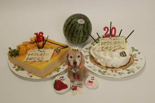 ファイル 3068-5.jpg