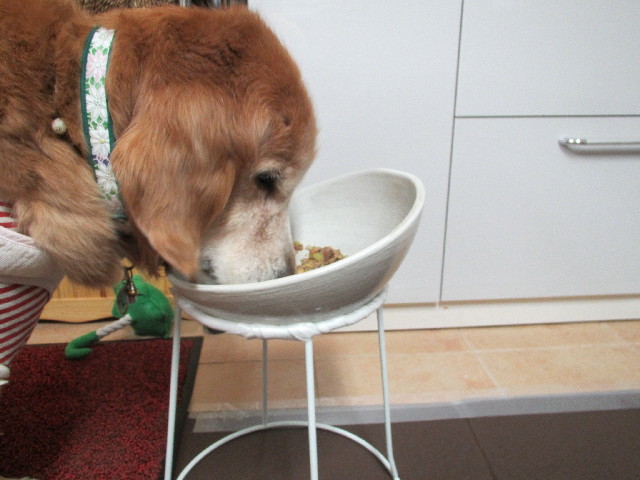 ファイル 3069-5.jpg