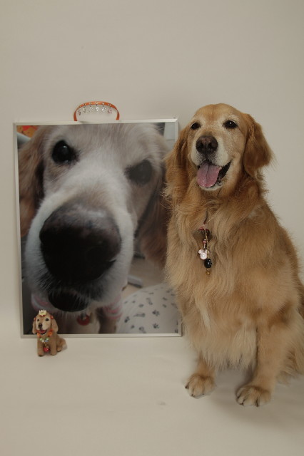 ファイル 3070-3.jpg