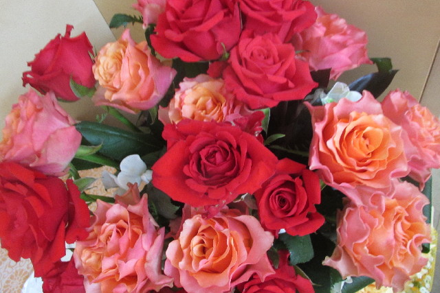 ファイル 3072-1.jpg