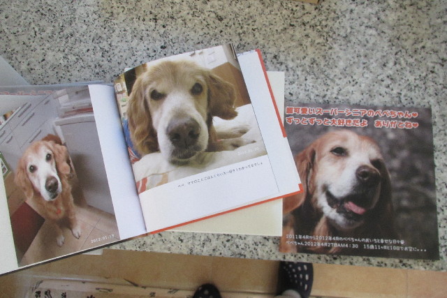 ファイル 3072-3.jpg