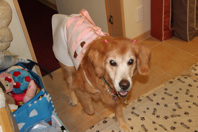 ファイル 3072-5.jpg