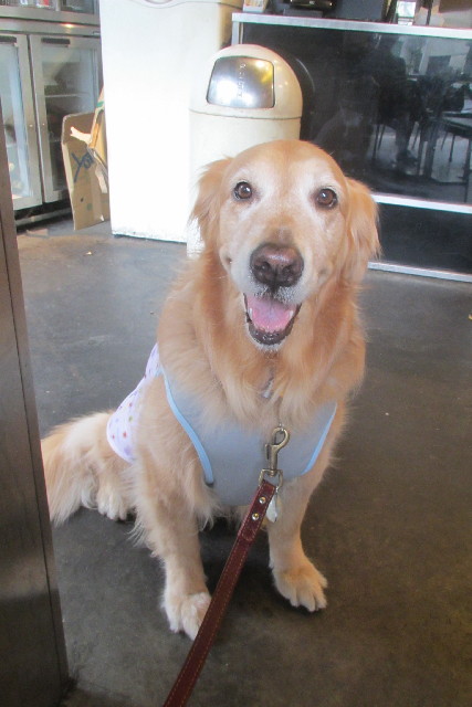 ファイル 3076-3.jpg