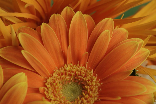 ファイル 3077-3.jpg