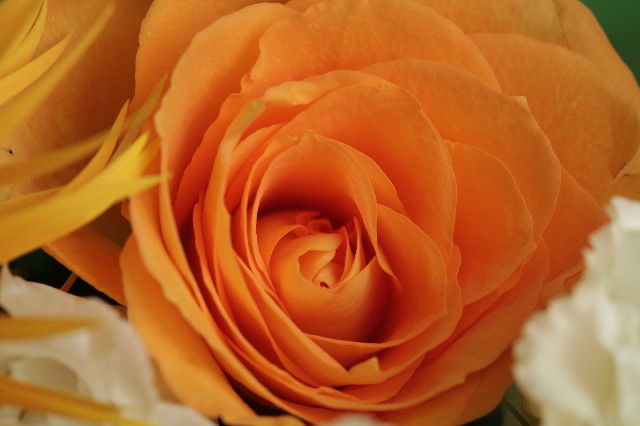 ファイル 3077-5.jpg