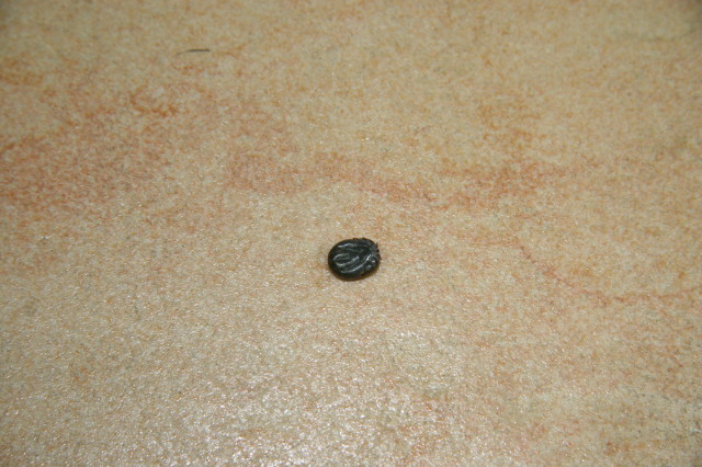 ファイル 308-1.jpg