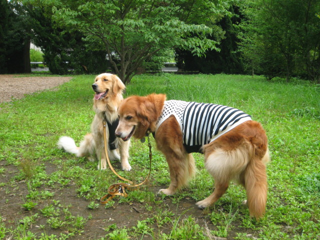 ファイル 308-4.jpg