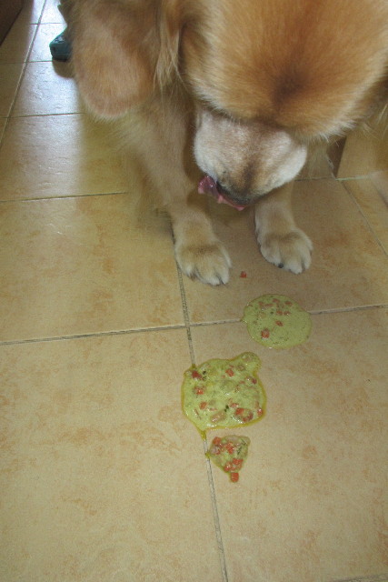 ファイル 3085-1.jpg