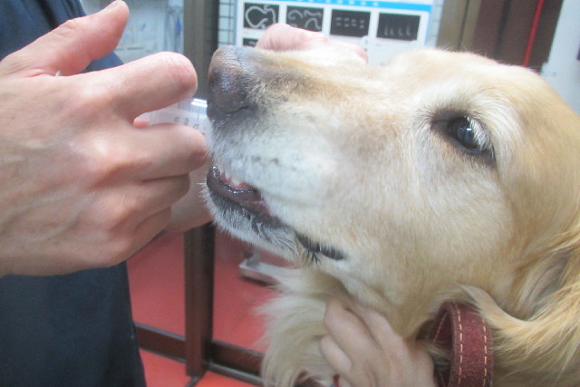 ファイル 3085-2.jpg