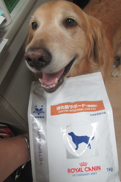 ファイル 3085-3.jpg