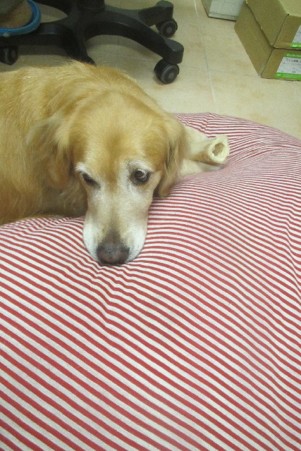 ファイル 3085-4.jpg