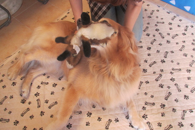 ファイル 3085-5.jpg