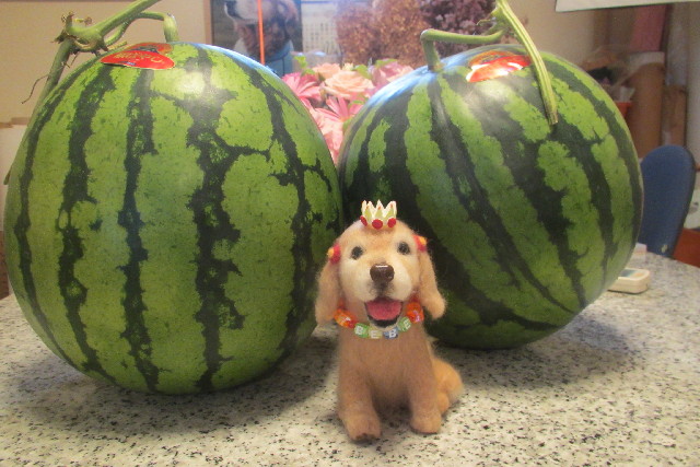 ファイル 3086-5.jpg