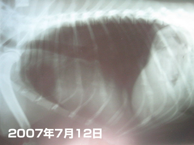 ファイル 309-3.jpg