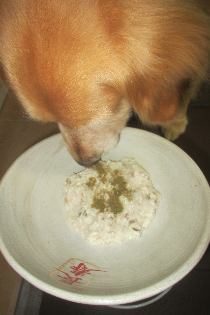 ファイル 3090-4.jpg