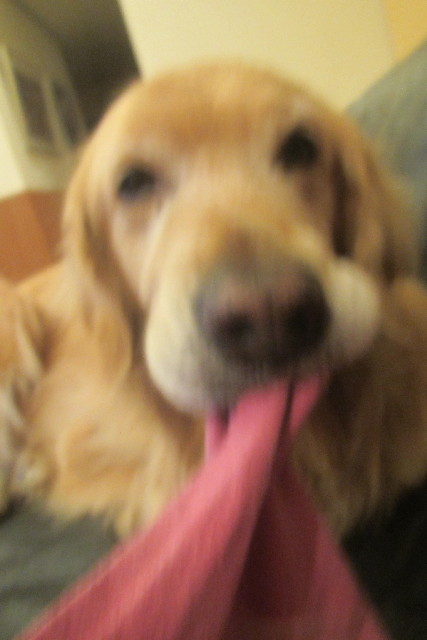 ファイル 3090-5.jpg