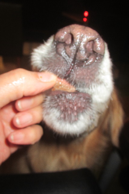 ファイル 3091-4.jpg