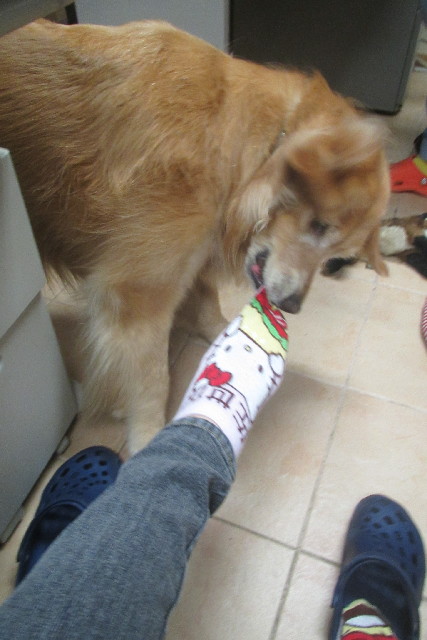 ファイル 3092-4.jpg