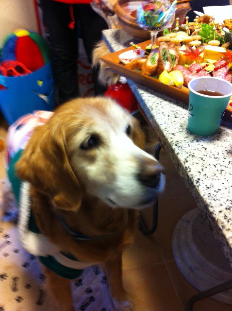 ファイル 3093-2.jpg