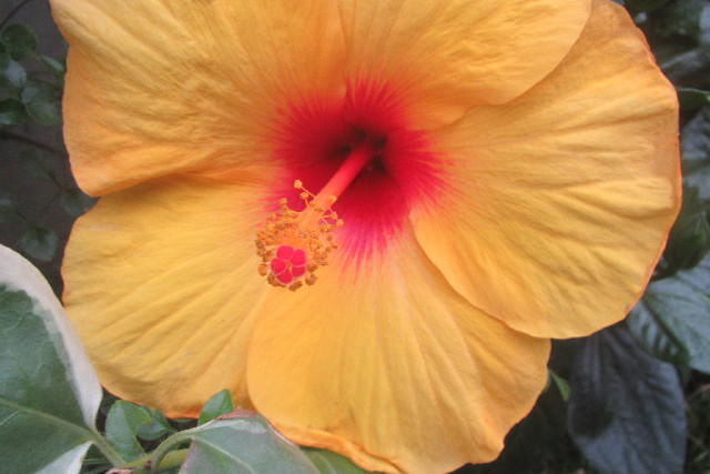 ファイル 3095-5.jpg