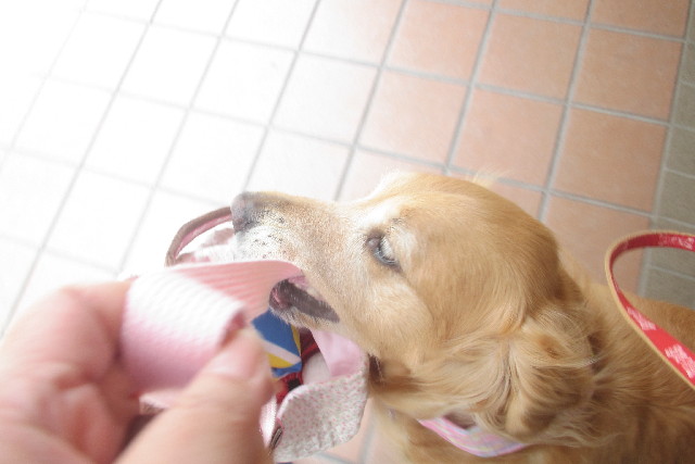 ファイル 3097-1.jpg