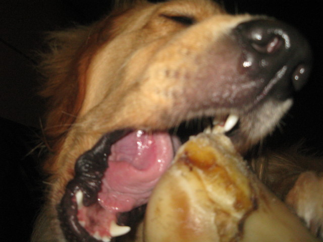 ファイル 310-1.jpg