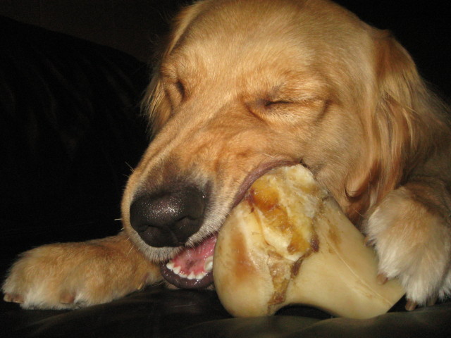 ファイル 310-3.jpg