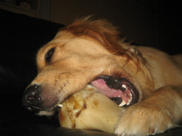 ファイル 310-5.jpg