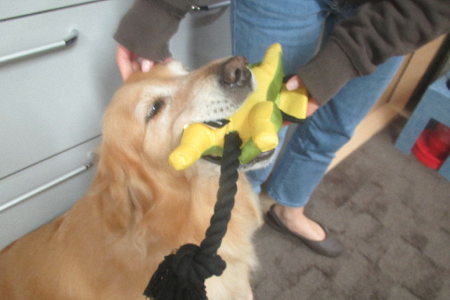 ファイル 3100-3.jpg