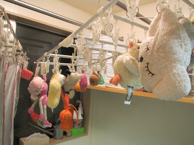 ファイル 3100-4.jpg