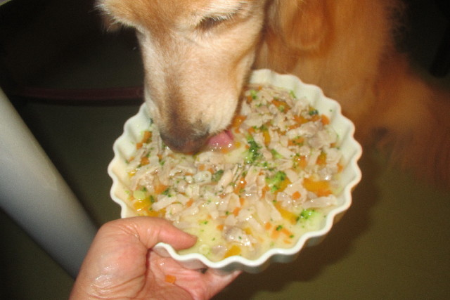 ファイル 3102-4.jpg