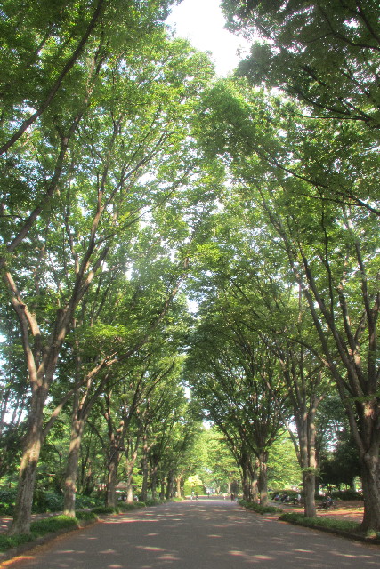 ファイル 3102-5.jpg