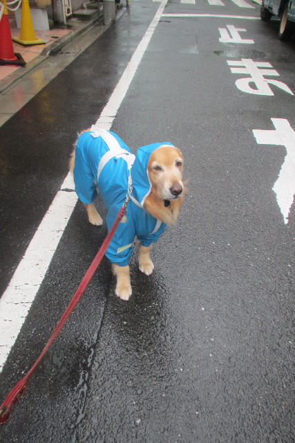 ファイル 3103-1.jpg