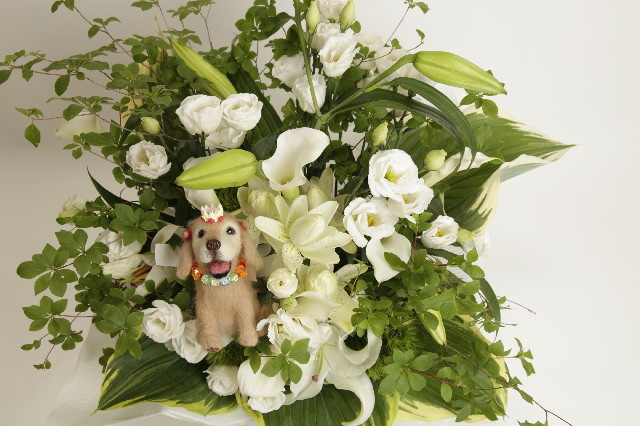 ファイル 3107-1.jpg