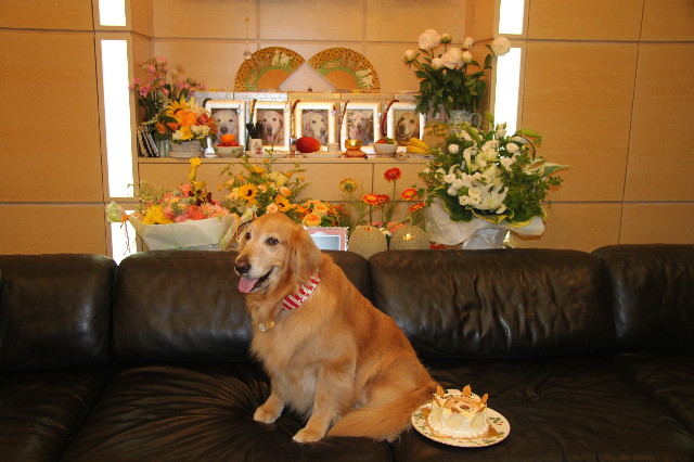 ファイル 3107-3.jpg