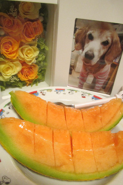 ファイル 3107-4.jpg