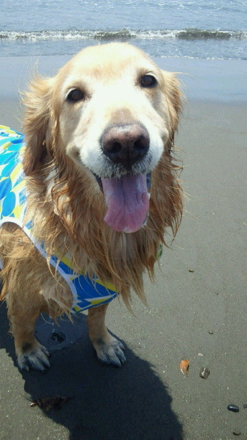 ファイル 3108-1.jpg