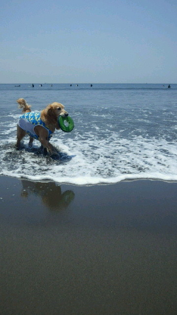 ファイル 3108-2.jpg