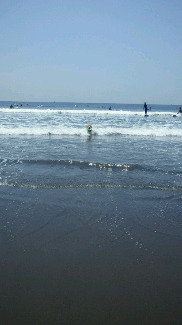 ファイル 3108-3.jpg