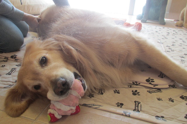 ファイル 3108-4.jpg