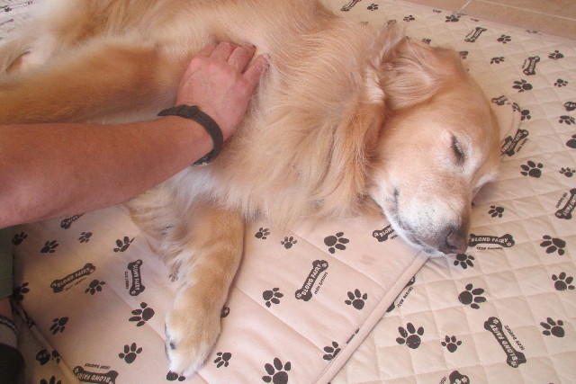 ファイル 3111-5.jpg