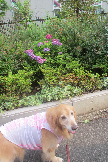 ファイル 3112-3.jpg