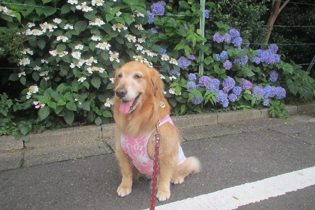 ファイル 3112-5.jpg